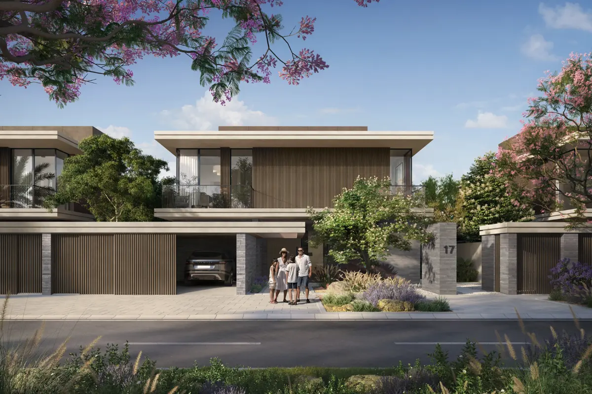 Project Image 1
